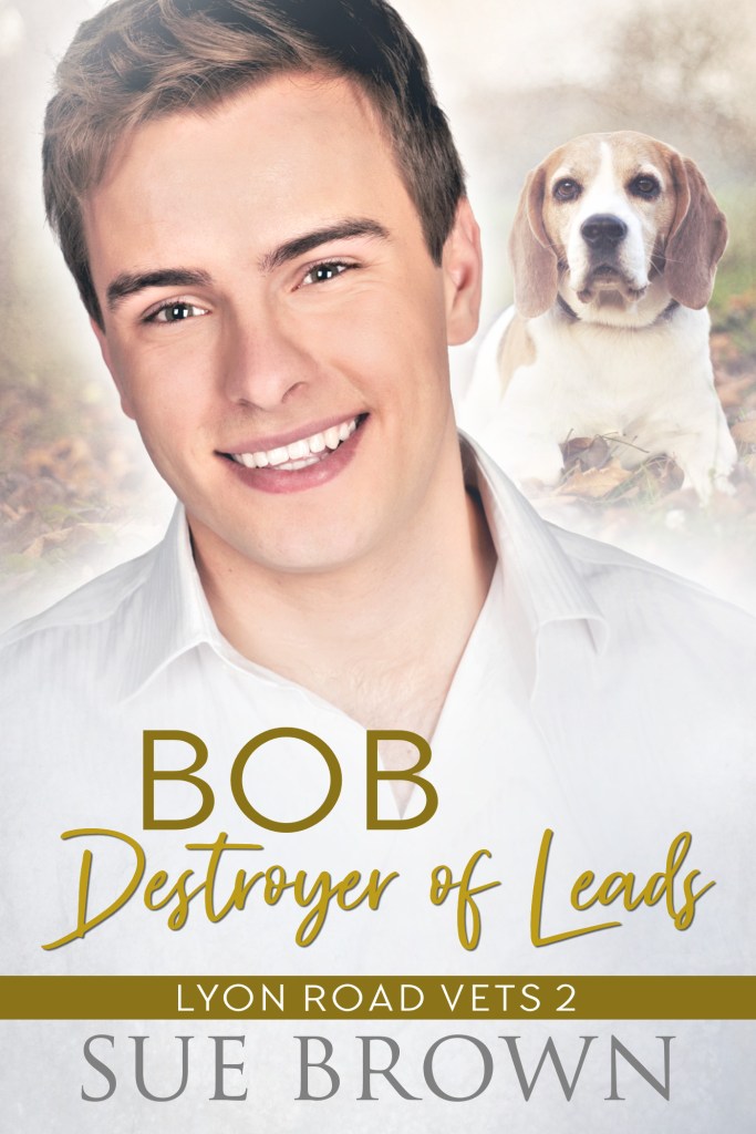 Bob, Destroyer of leads front cover.