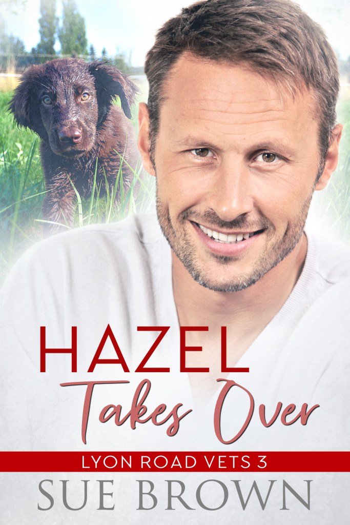 Hazel Takes Over front cover.