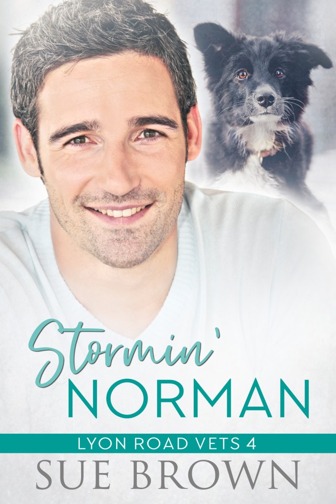 Stormin' Norman front cover.