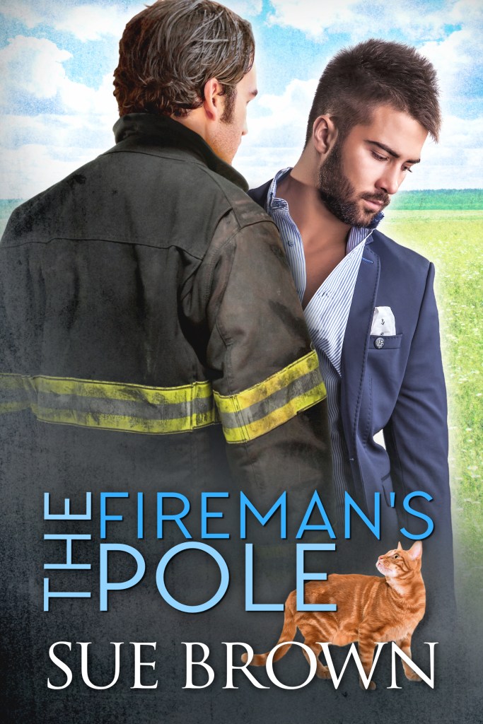 The fireman's pole front cover.
